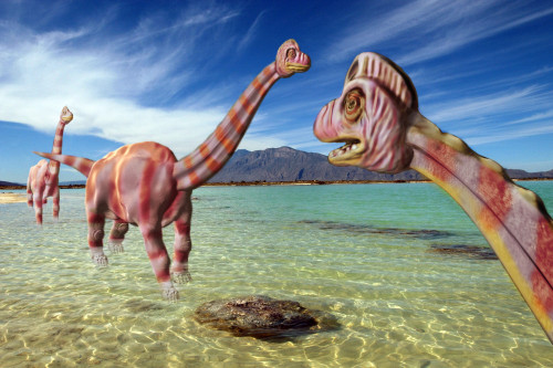 Brachiosaurus Dinosaurs, Illustration Poster Print by Spencer Sutton/Science Source - Item # VARSCIJB9119
