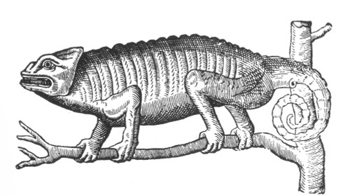 Chameleon, 16th Century Poster Print by Science Source - Item # VARSCI9N3066