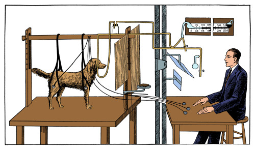 Pavlovian Experiment on Dog Poster Print by Science Source - Item # VARSCIJC5257