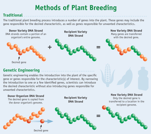 Methods of Plant Breeding Poster Print by Science Source - Item # VARSCIJB1012