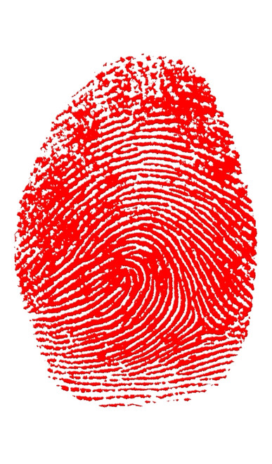 Thumbprint Poster Print by Science Source - Item # VARSCIBA5224
