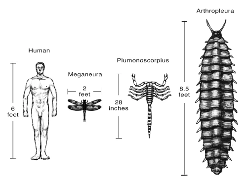 Carboniferous Fauna Compared to Humans Poster Print by Spencer Sutton/Science Source