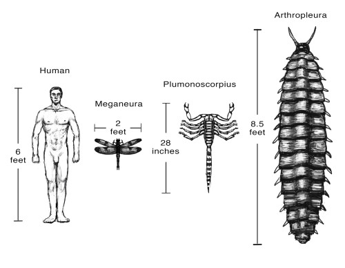 Carboniferous Fauna Compared to Humans Poster Print by Spencer Sutton/Science Source - Item # VARSCIJC4965