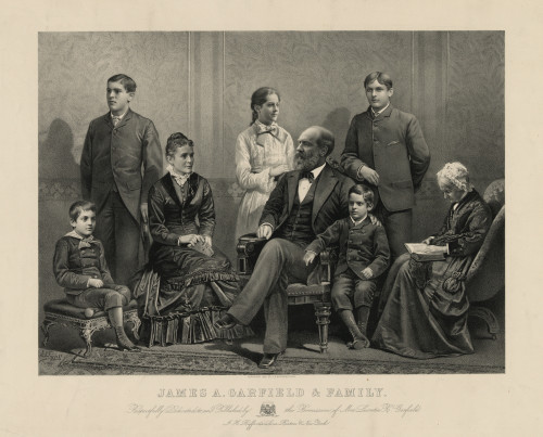 President Garfiled with His Family, 1881 Poster Print by Science Source - Item # VARSCIBW2474