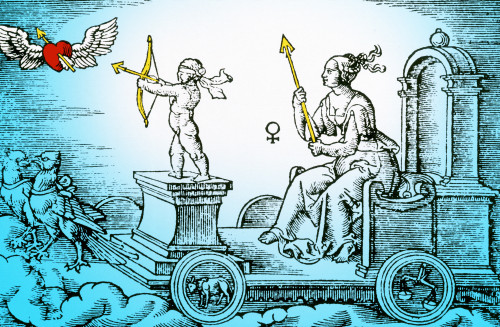 Venus, Roman Goddess of Love Poster Print by Science Source - Item # VARSCIBS6139