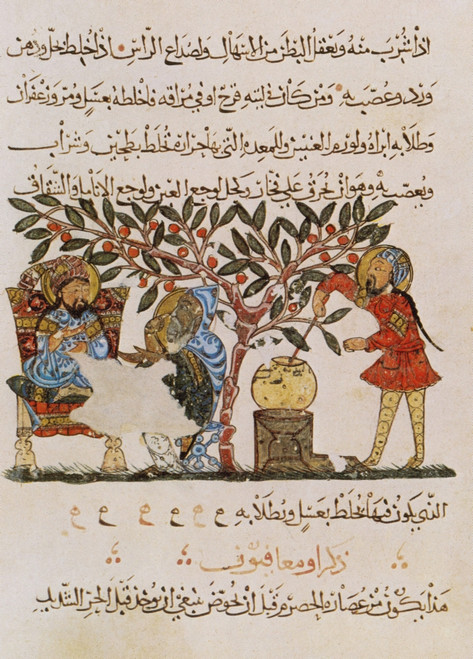 Dioscorides's "De Materia Medica", 13th Century Poster Print by Science Source - Item # VARSCIBP5624