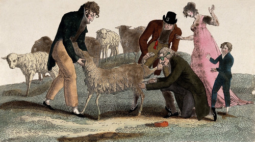 Luigi Marchelli Obtains Smallpox Inoculation Poster Print by Science Source