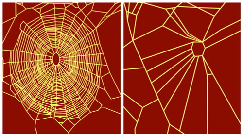 Effect of Chloral Hydrate on Spiders Poster Print by Science Source - Item # VARSCIBX1985