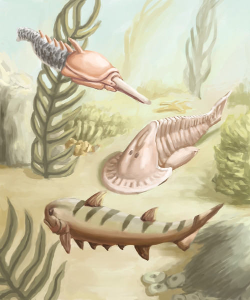 Ostracoderms and Placoderms Poster Print by Spencer Sutton/Science Source - Item # VARSCIJA1000