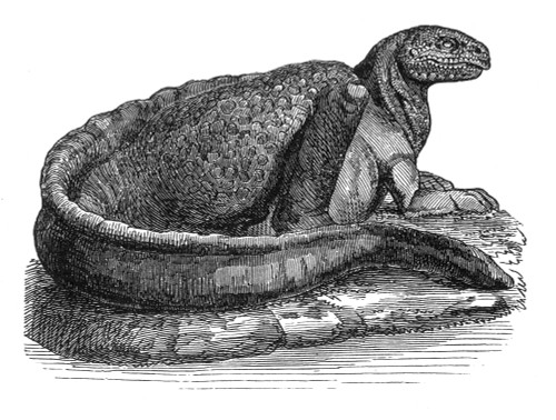 Hadrosaurus, Cretaceous Dinosaur Poster Print by Science Source - Item # VARSCIBX3720