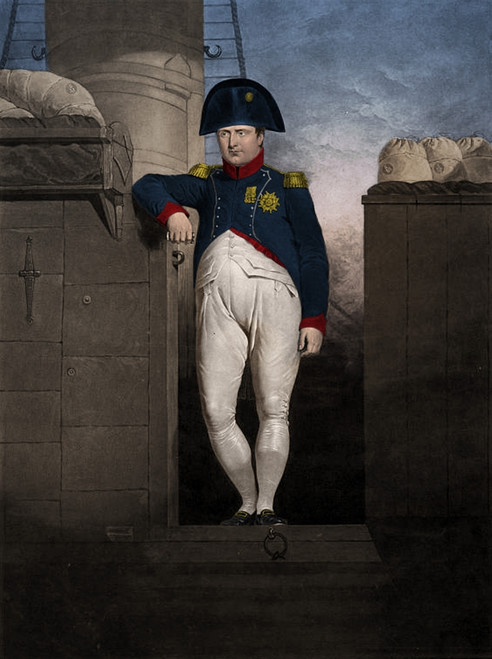 Napoleon, Emperor of France Poster Print by Science Source - Item # VARSCIBZ4632