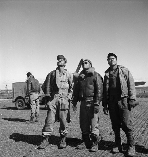 WWII, Tuskegee Ground Crew, 1945 Poster Print by Science Source - Item # VARSCIJB7029
