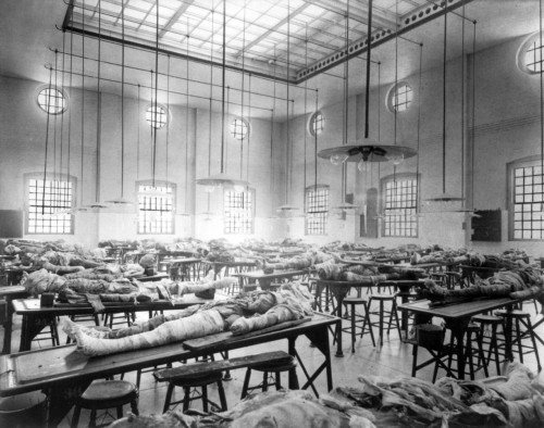 Dissecting Room, Jefferson College, 1902 Poster Print by Science Source - Item # VARSCIJA7205