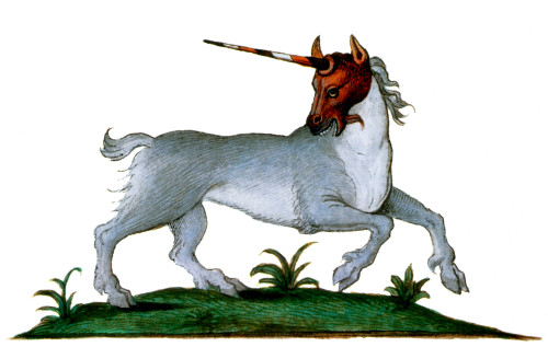 Unicorn, Legendary Creature Poster Print by Science Source - Item # VARSCIBY0539
