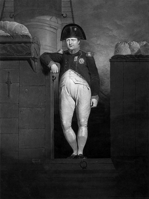 Napoleon Bonaparte, Military Leader and Emperor of France Poster Print by Science Source - Item # VARSCIBU2698