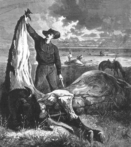 Buffalo Skinner, 1874 Poster Print by Science Source - Item # VARSCIBV0716
