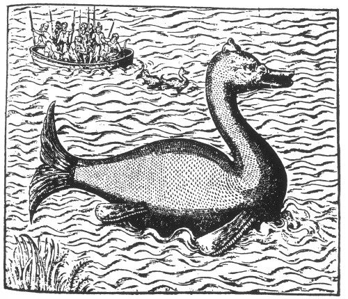 Aloes, Monster Fish, 16th Century Poster Print by Science Source - Item # VARSCI9N3047