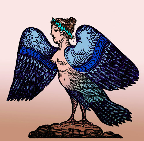 Harpy, Legendary Creature Poster Print by Science Source - Item # VARSCIBZ6472