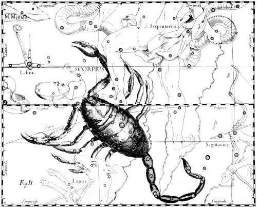 Scorpius Constellation, Zodiac Sign, Hevelius Poster Print by Science Source - Item # VARSCIBX9613