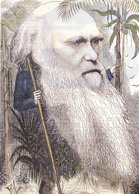 Charles Robert Darwin, English Naturalist Poster Print by Science Source