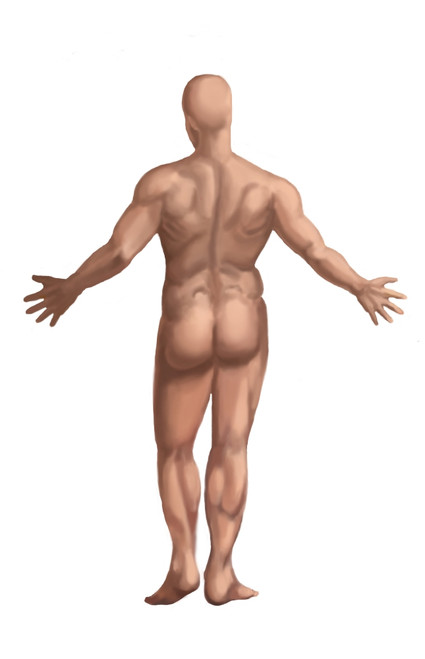 Nude Man Poster Print by Spencer Sutton/Science Source - Item # VARSCIBW0834