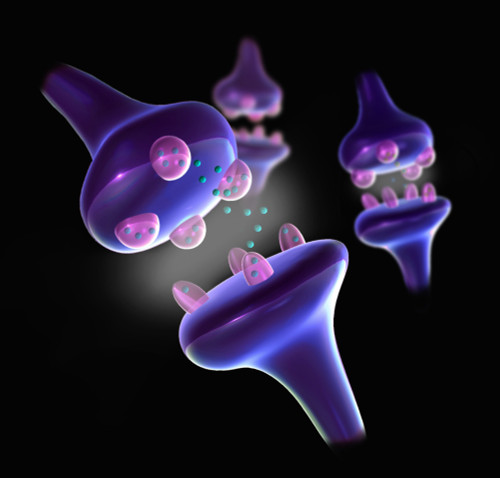 Synapses, Illustration Poster Print by Spencer Sutton/Science Source - Item # VARSCIJA1016