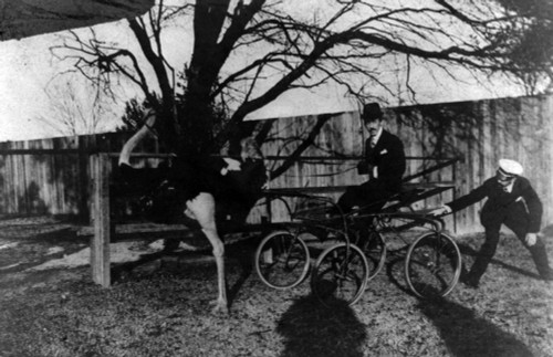 Santos-Dumont Driving An Ostrich, 1904 Poster Print by Science Source - Item # VARSCIBW2512