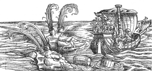 Sea Monsters or Whales, 16th Century Poster Print by Science Source - Item # VARSCIBY0469