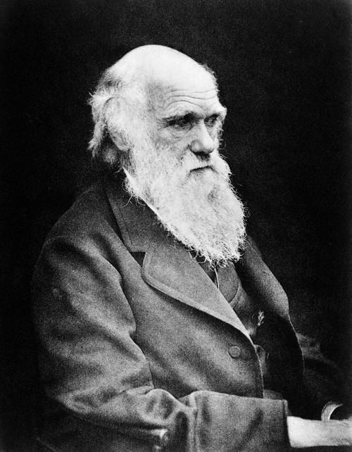 Charles Darwin, English Naturalist Poster Print by Science Source - Item # VARSCIJA0928