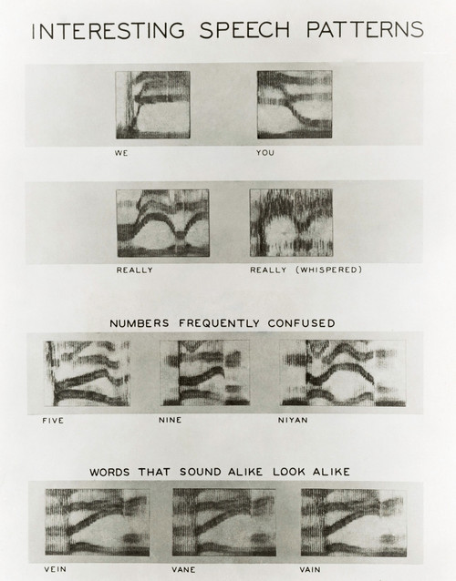 Speech Patterns Poster Print by Science Source
