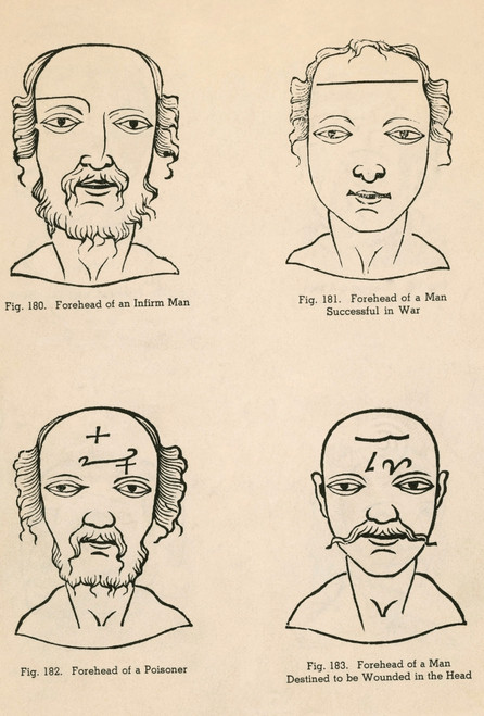 Physiognomy Poster Print by Science Source - Item # VARSCIBS7771