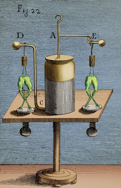Galvanism Experiments, 1804 Poster Print by Science Source - Item # VARSCIJF0663