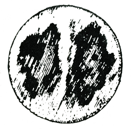 http://c328301.r1.cf1.rackcdn.com/SCIBY5673.jpg