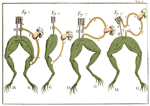 Galvani's Frog Experiments, 1770s Poster Print by Science Source - Item # VARSCIJC4303