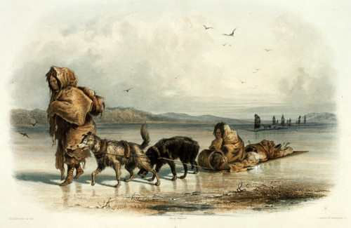Mandan Indians with Dog Sledge, c.1840 Poster Print by Science Source - Item # VARSCIJE9111