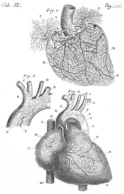 Heart Anatomy, Illustration, 1703 Poster Print by Science Source - Item # VARSCIJA1799