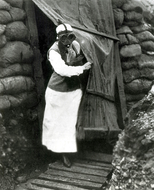 WWI, AEF Army Nurse Wearing Gas Mask Poster Print by Science Source - Item # VARSCIBZ7820