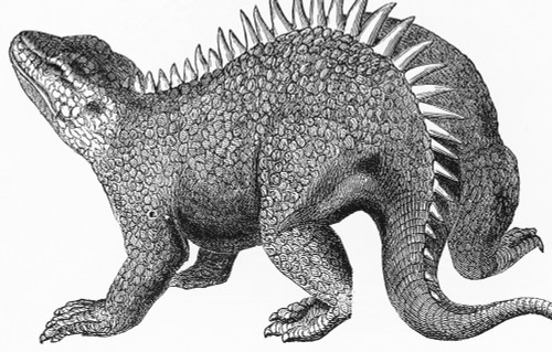 Hylaeosaurus Illustration Poster Print by Science Source - Item # VARSCIBN6704