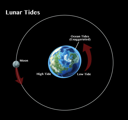 Tides Poster Print by Spencer Sutton/Science Source - Item # VARSCIBX7468