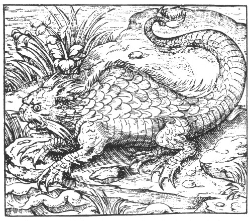 Orobon, Monster Fish, 16th Century Poster Print by Science Source - Item # VARSCI9N3046