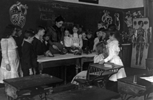 Elementary School Biology Class, 1899 Poster Print by Science Source - Item # VARSCIBY5569