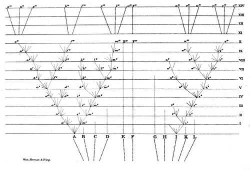 Darwin's Scheme for Evolution of Species Poster Print by Science Source - Item # VARSCIJA0930
