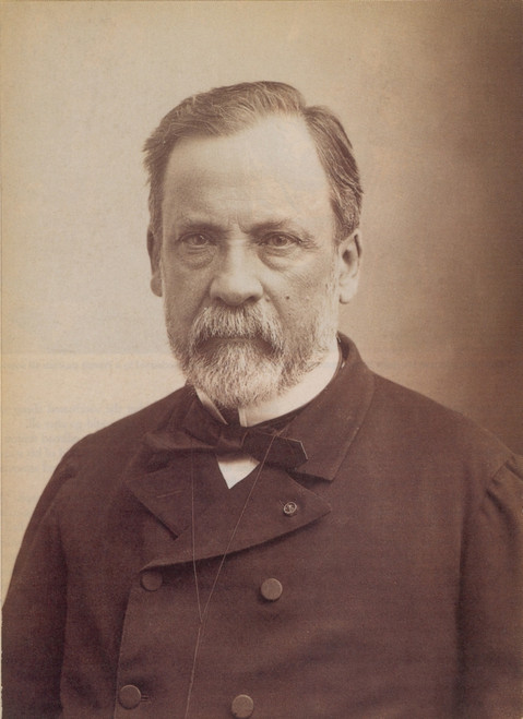 Louis Pasteur, French Bacteriologist Poster Print by Science Source - Item # VARSCIBX2423