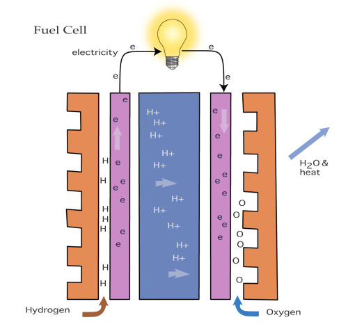 Diagram of the Inside of a Fuel Cell Poster Print by Monica Schroeder/Science Source - Item # VARSCIJB7889