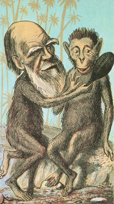 Charles Darwin Caricature, 1874 Poster Print by Science Source - Item # VARSCIBS8600