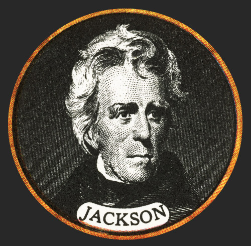 Andrew Jackson, 7th U.S. President Poster Print by Science Source - Item # VARSCIBS4795