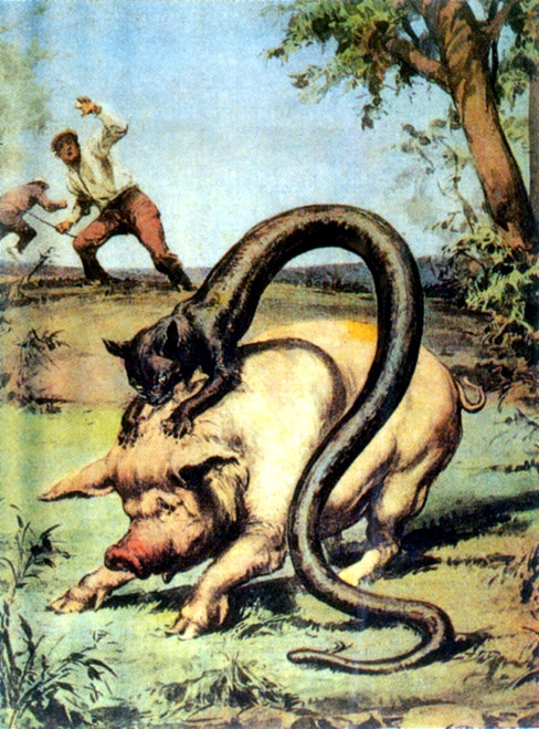 Tatzelwurm, Legendary Creature Poster Print by Science Source - Item # VARSCIBY0538