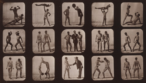 Muybridge Locomotion, Athletes Posturing, 1881 Poster Print by Science Source - Item # VARSCIBW2510