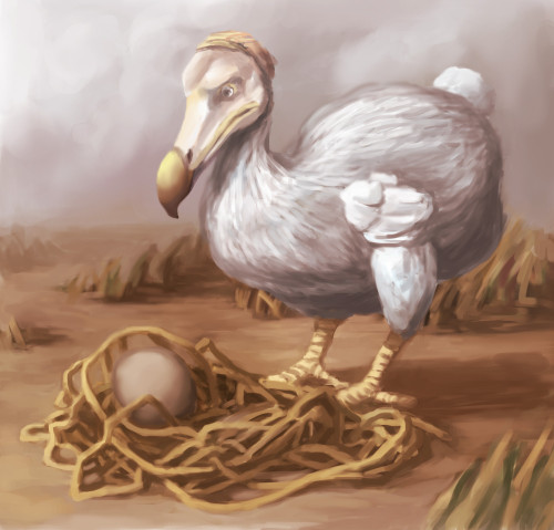 Dodo Bird, Illustration Poster Print by Spencer Sutton/Science Source