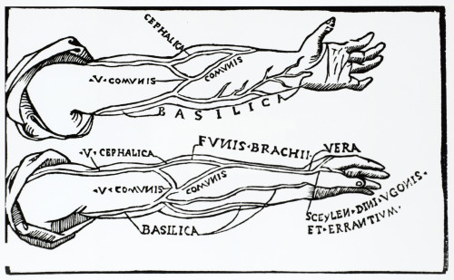 Arteries Poster Print by Science Source - Item # VARSCI9N0098